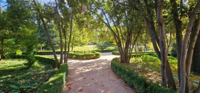 Apartment in Vista Alegre photo 17
