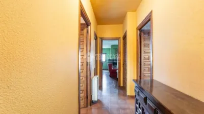 Terraced House in Colonia photo 12