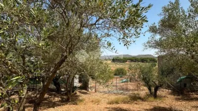Rustic house in Arcos de la Frontera photo 13