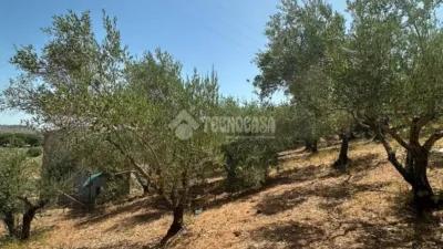 Rustic house in Arcos de la Frontera photo 14