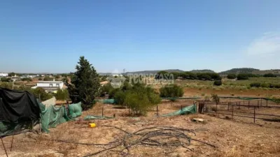 Rustic house in Arcos de la Frontera photo 19