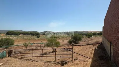 Rustic house in Arcos de la Frontera photo 6