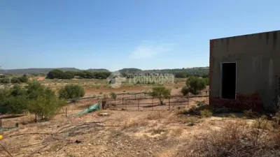 Rustic house in Arcos de la Frontera photo 5