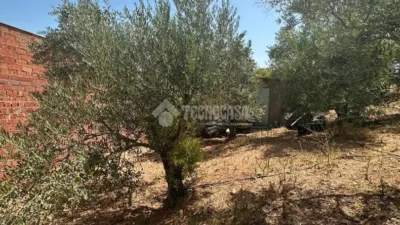 Rustic house in Arcos de la Frontera photo 9