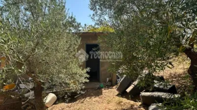 Rustic house in Arcos de la Frontera photo 18