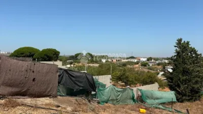Rustic house in Arcos de la Frontera photo 12