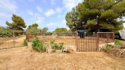Rustic house in Zona Nord photo 29