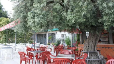 Semi-detached house in Los Villares photo 4