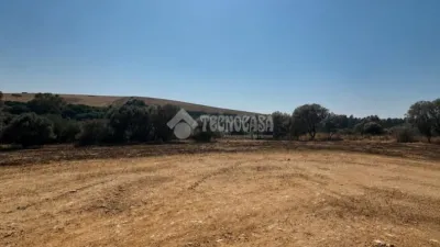 Single-family home in Charco Dulce photo 12