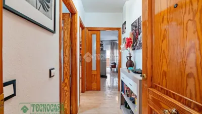 Apartment in Barrio Sur photo 10