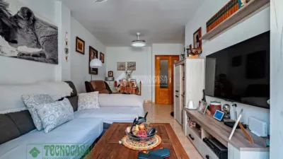 Apartment in Barrio Sur photo 14