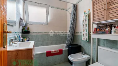 Apartment in Barrio Sur photo 17