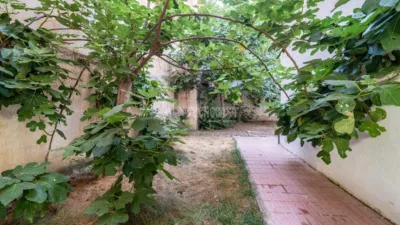 Apartment in Nigüelas photo 30
