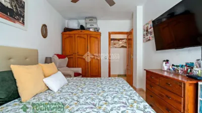Apartment in Barrio Sur photo 2