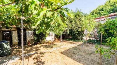 Single-family home in Mira-sol photo 5