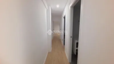 Apartment in Plaza del Sol photo 24