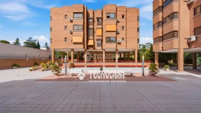 Apartment in Quintana photo 2