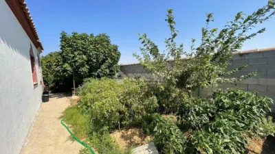 Rustic house in Pinar de los Franceses-El Marquesado photo 3