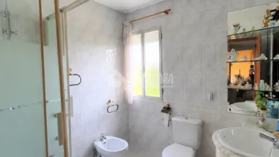Flat in Rejas photo 17