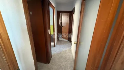Apartment in Sant Ildefons photo 4