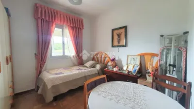 Flat in Rejas photo 14