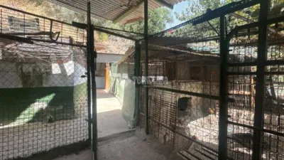 Casa rústica en El Romeral-Santa Amalia photo 29