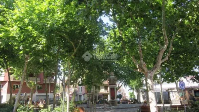 Apartment in El Baix Guinardó photo 20