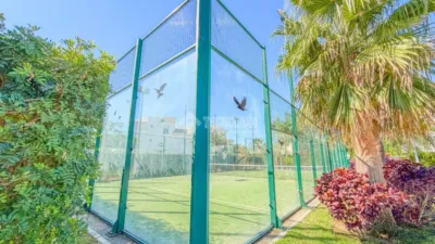 Apartment in Playa de las Tres Piedras-Costa Ballena photo 4