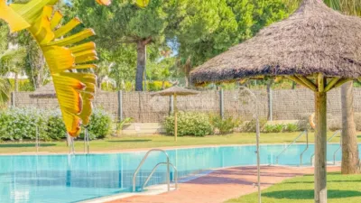 Apartment in Playa de las Tres Piedras-Costa Ballena photo 5