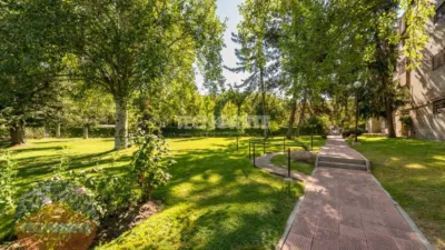 Apartment in Majadahonda photo 40