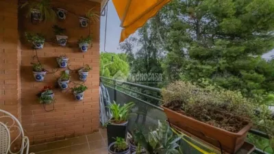 Apartment in Sant Feliu de Llobregat photo 29