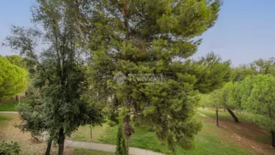 Apartment in Sant Feliu de Llobregat photo 2