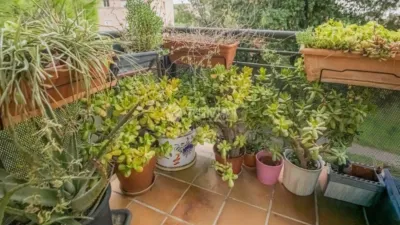Apartment in Sant Feliu de Llobregat photo 12