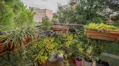 Apartment in Sant Feliu de Llobregat photo 28