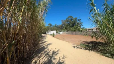 Rustic house in El Soto photo 3