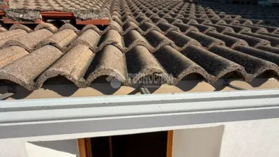 Semi-detached house in Jabalquinto photo 26