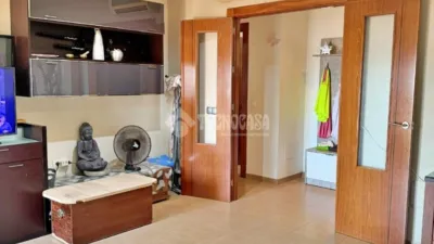 Apartment in Santa María del Águila photo 5