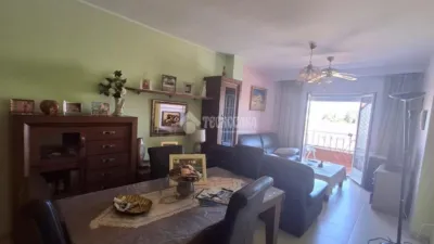 Apartment in La Carolina photo 2