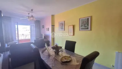 Apartment in La Carolina photo 4