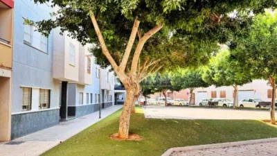 Apartment in Santa María del Águila photo 25