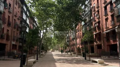 Apartment in San Isidro photo 14