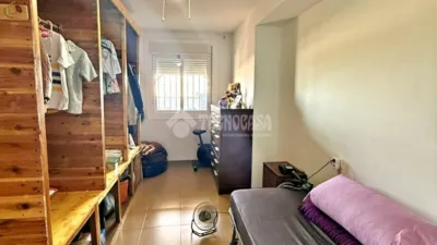 Apartment in Santa María del Águila photo 19