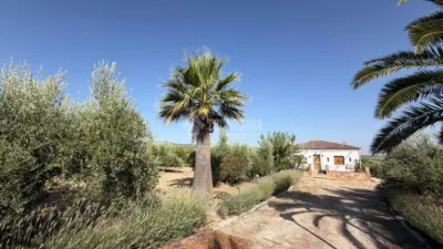Rustic house in Alcaudete photo 3
