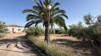 Rustic house in Alcaudete photo 4
