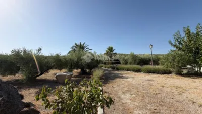 Rustic house in Alcaudete photo 32