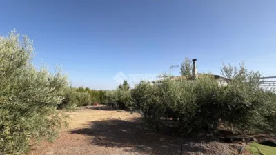 Rustic house in Alcaudete photo 30