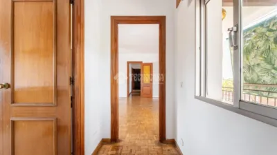 Apartment in Colonia photo 12