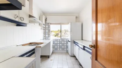Apartment in Colonia photo 10
