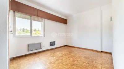 Apartment in Colonia photo 15