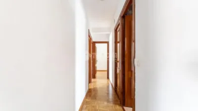 Apartment in Colonia photo 13